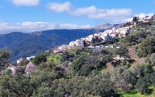 Jubrique
Foto: J.L Cebollada